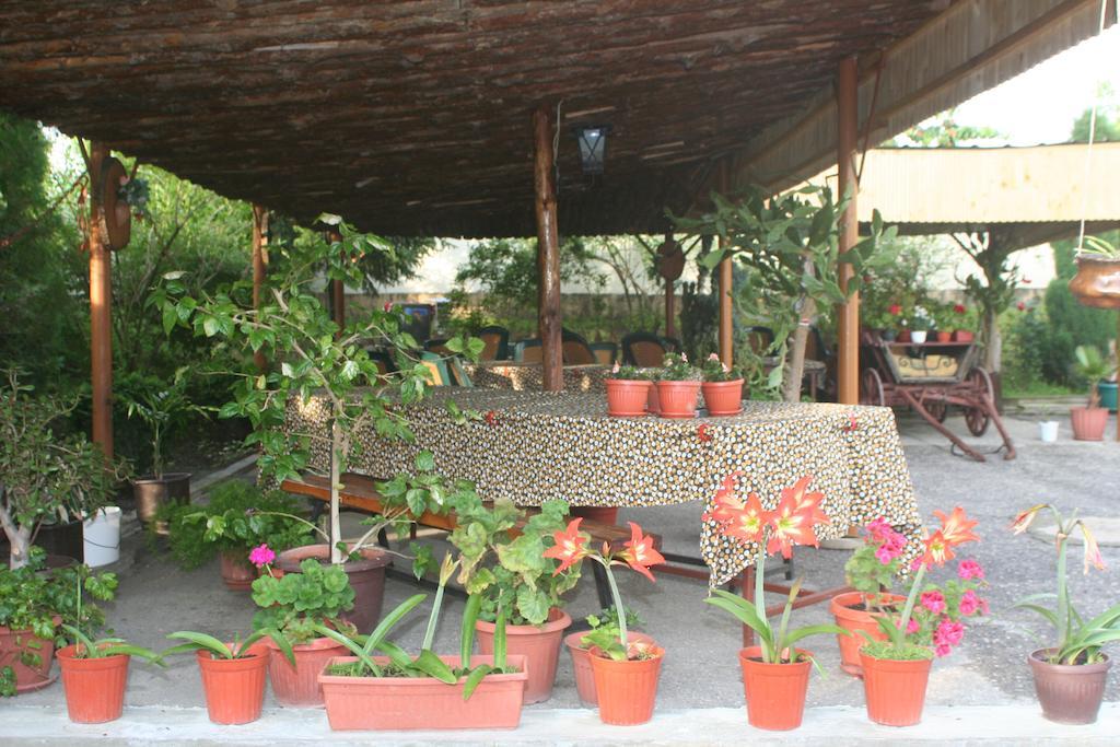Guest House Edelvais Dve Mogili Exterior foto